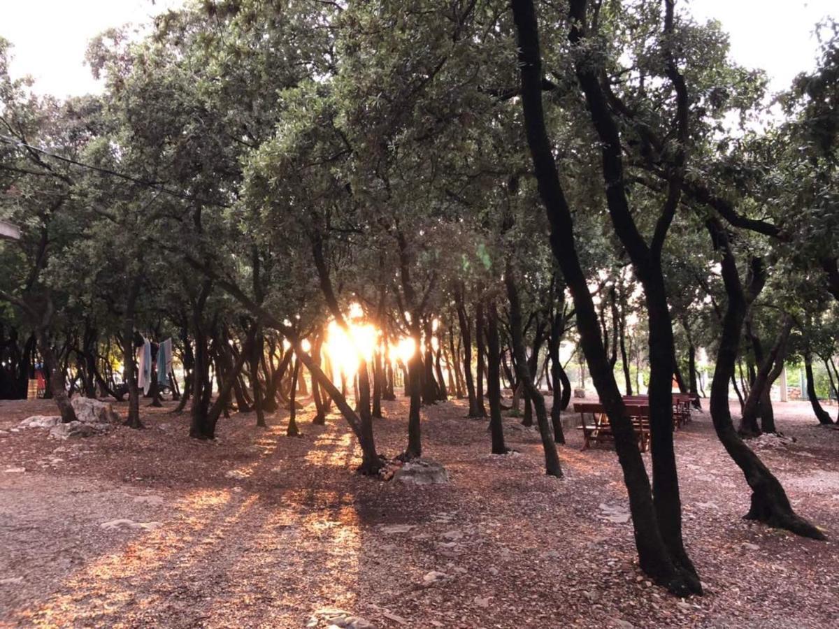 Villa Ariel Luštica Buitenkant foto